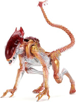 Aliens: Kenner Tribute Ultimate Panther Alien Action Figure