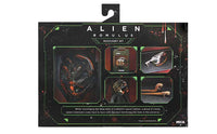 Alien Romulus: Accessory Set