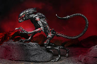 Aliens: Ultimate Night Cougar Alien Action Figure