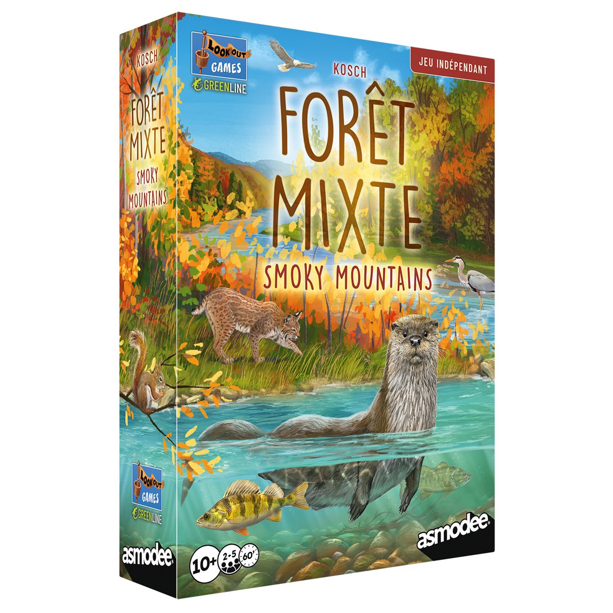 Foret Mixte : Smoky Mountains (FR)