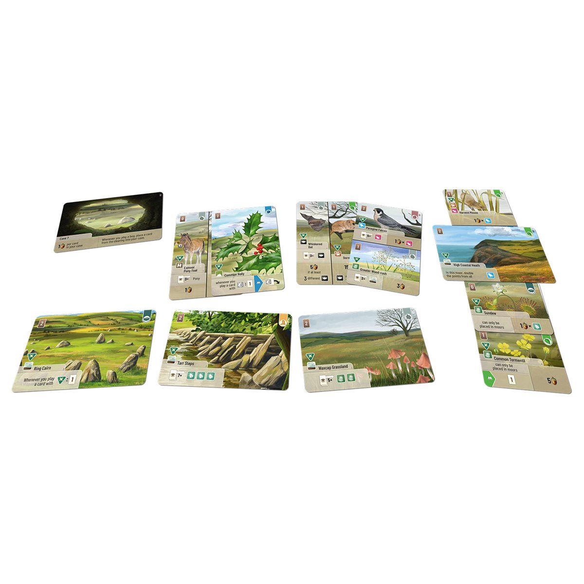 Forest Shuffle - Dartmoor: Exmoor (EN)