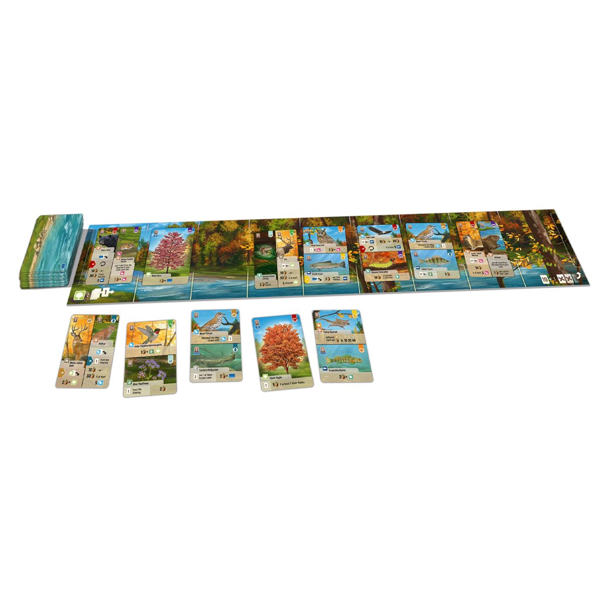 Forest Shuffle - Smoky Mountains (EN)
