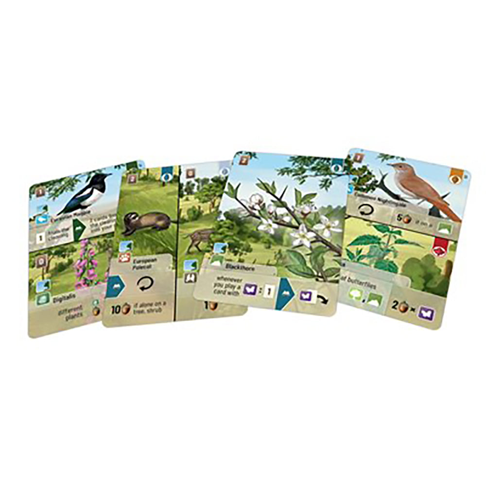Forest Shuffle: Woodland Edge Expansion (EN)