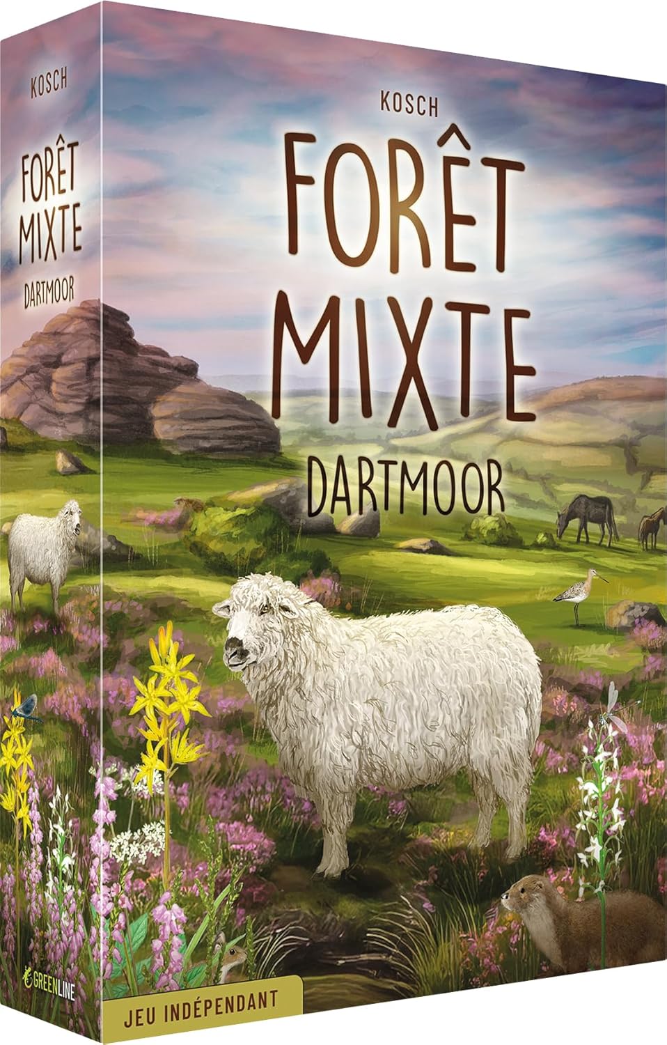 Foret Mixte : Dartmoor Expansion (FR)