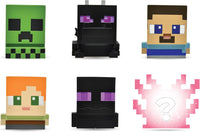 Mash'ems Minecraft Blind Capsule