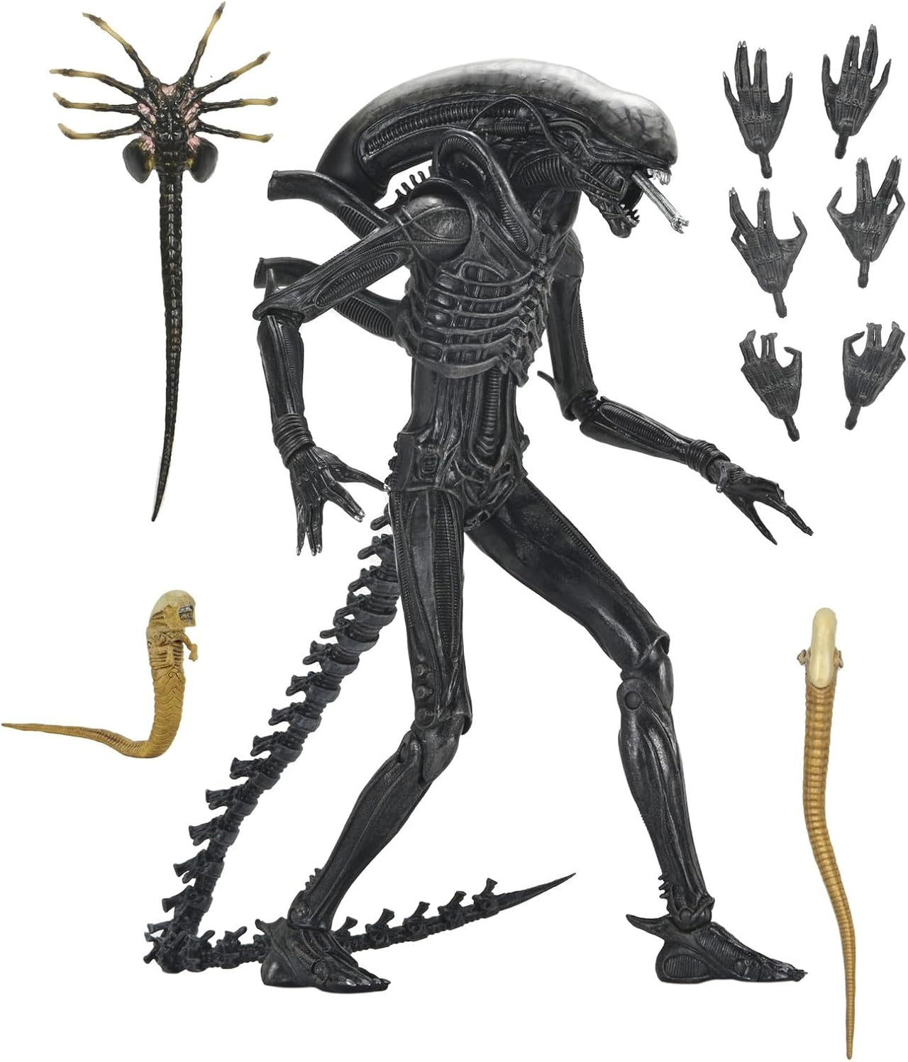 Aliens: Romulus - Ultimate Xenomorph XX121 Action Figure