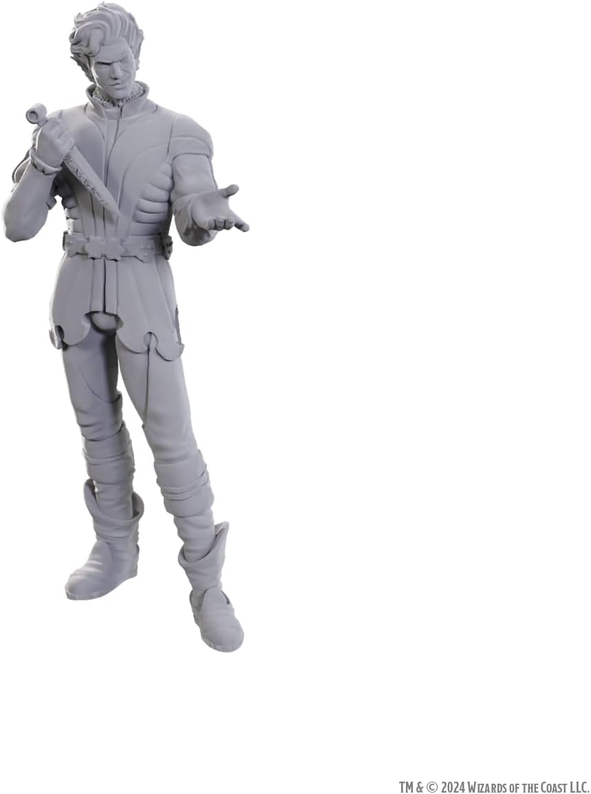 Nolzur's Unpainted D&D Miniatures - Baldur's Gate 3: Gale & Astarion