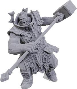 Nolzur's Unpainted D&D Miniatures - Firegaunt Wave 23