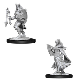 Nolzur's Unpainted D&D Miniatures Kalashtar Cleric Female W14