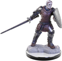 Nolzur's Unpainted D&D Miniatures - Reborn Paladin & Warlock Wave 22