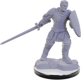 Nolzur's Unpainted D&D Miniatures - Reborn Paladin & Warlock Wave 22