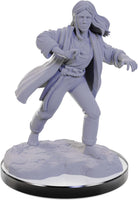 Nolzur's Unpainted D&D Miniatures - Reborn Paladin & Warlock Wave 22