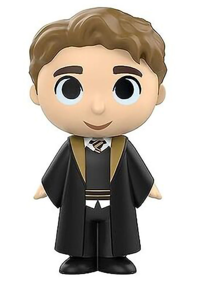Mystery Minis Harry Potter Series 3 - Cedric Diggory