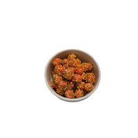 Space Blast Freeze-Dried Asteroid Clusters (45g)
