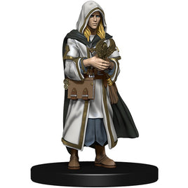 Pathfinder Battles - Kingmaker - Tristian, Human Cleric