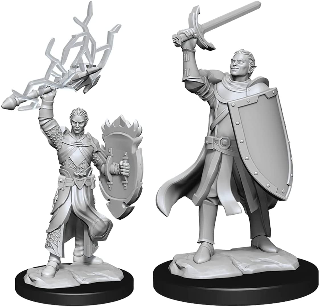 Nolzur's Unpainted D&D Miniatures Half-Elf Paladin Male W14