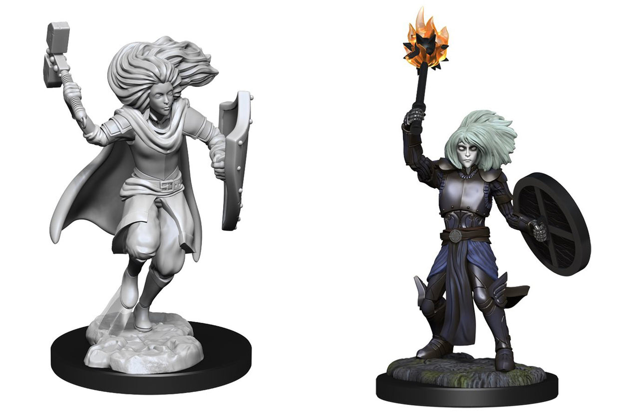 Nolzur's Unpainted D&D Miniatures Changeling Cleric Male W14