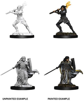 Nolzur's Unpainted D&D Miniatures Human Paladin (Female) W10