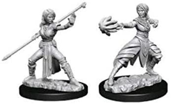 Nolzur's Unpainted D&D Miniatures Half-Elf Monk (Female) W10