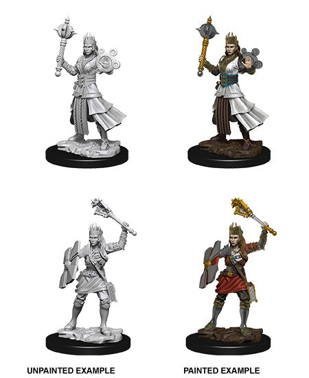 Nolzur's Unpainted D&D Miniatures Female Human Cleric W8
