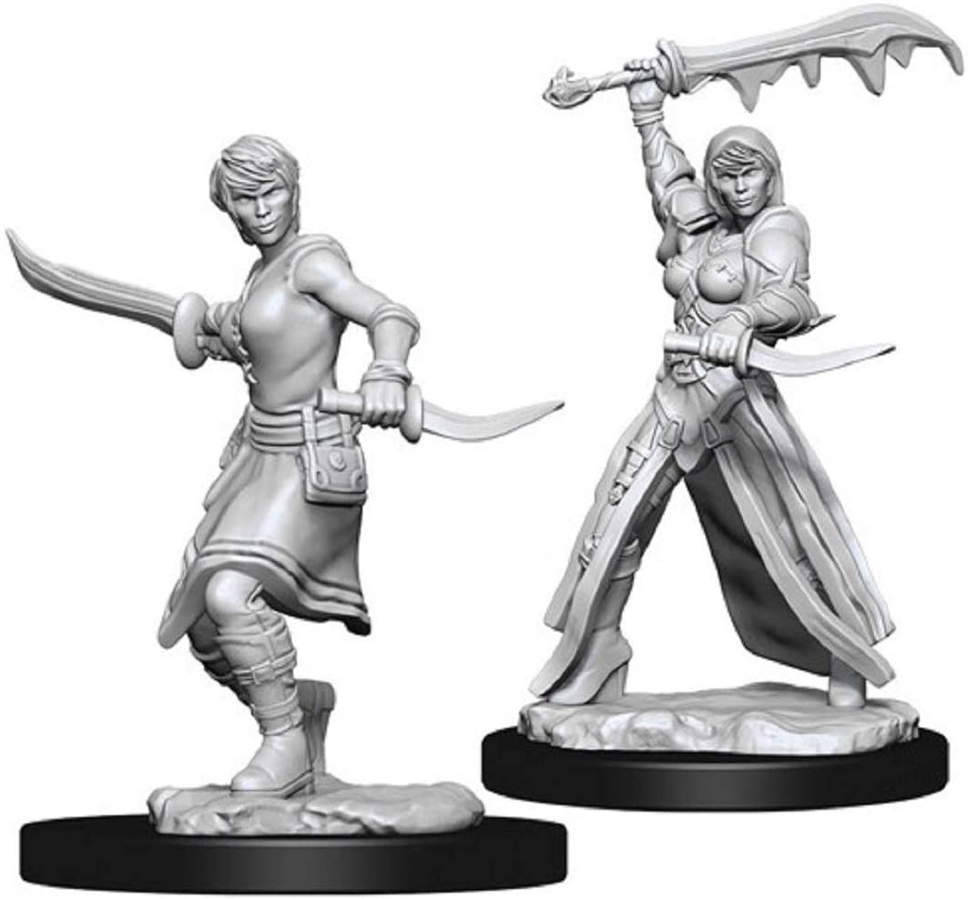 Nolzur's Unpainted D&D Miniatures Human Rogue (Female) W10