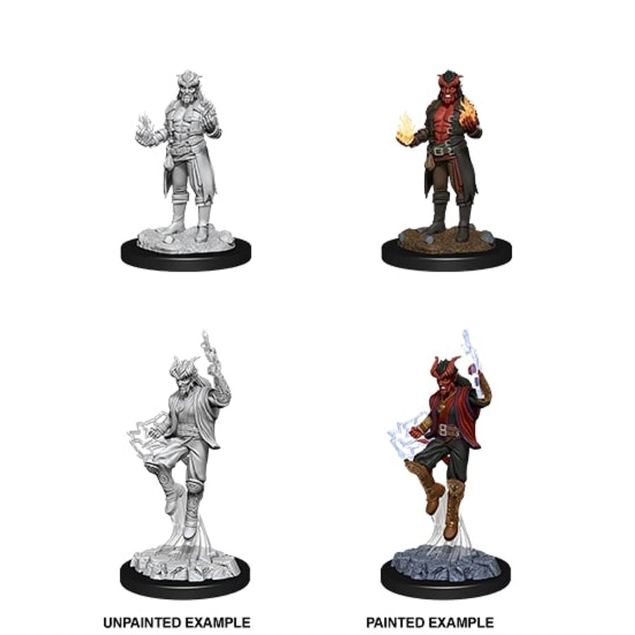 Nolzur's Unpainted D&D Miniatures Tiefling Sorcerer (Male) W12