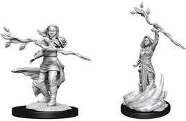 Nolzur's Unpainted D&D Miniatures Human Druid (female) W14