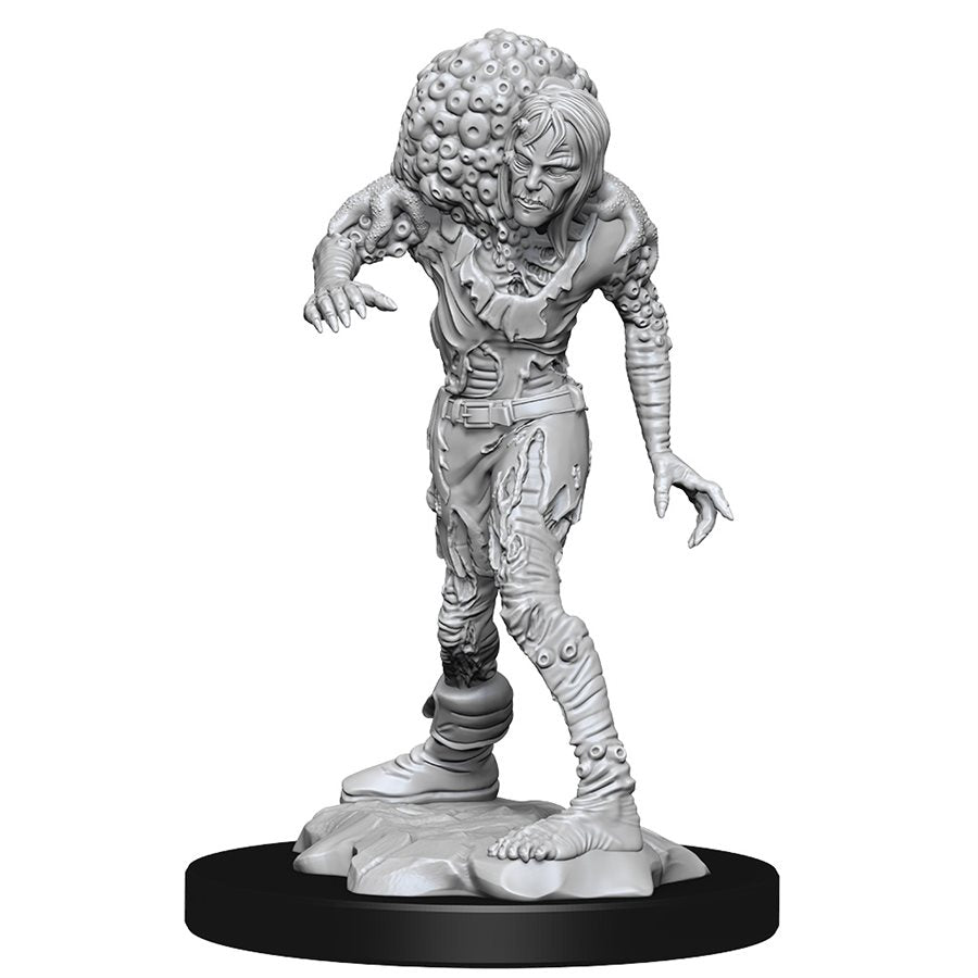 Nolzur's Unpainted D&D Miniatures Drowned Assassin & Drowned Asetic W14