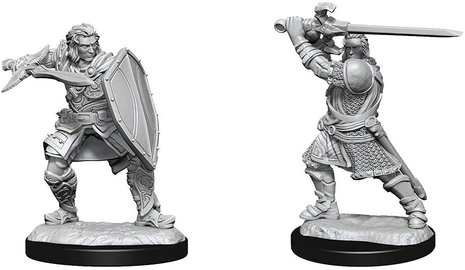 Nolzur's Figurines D&D Non Peinte: Human Paladin (Male) W14