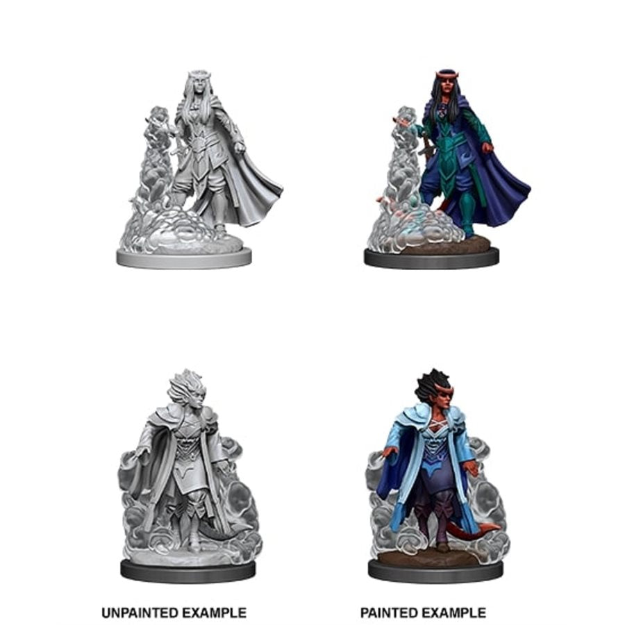 Nolzur's Unpainted D&D Miniatures Tiefling Sorcerer (Female) W12